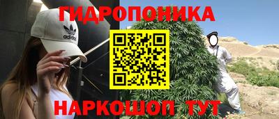 apvp Ипатово
